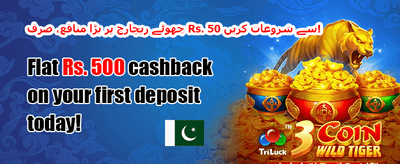 ڈیلی رিলোڈ بونس promotion